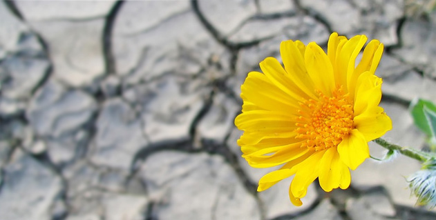 For a Worthwhile Existence